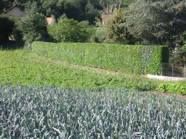 ARNS - Paysagiste création et aménagement d'espaces verts