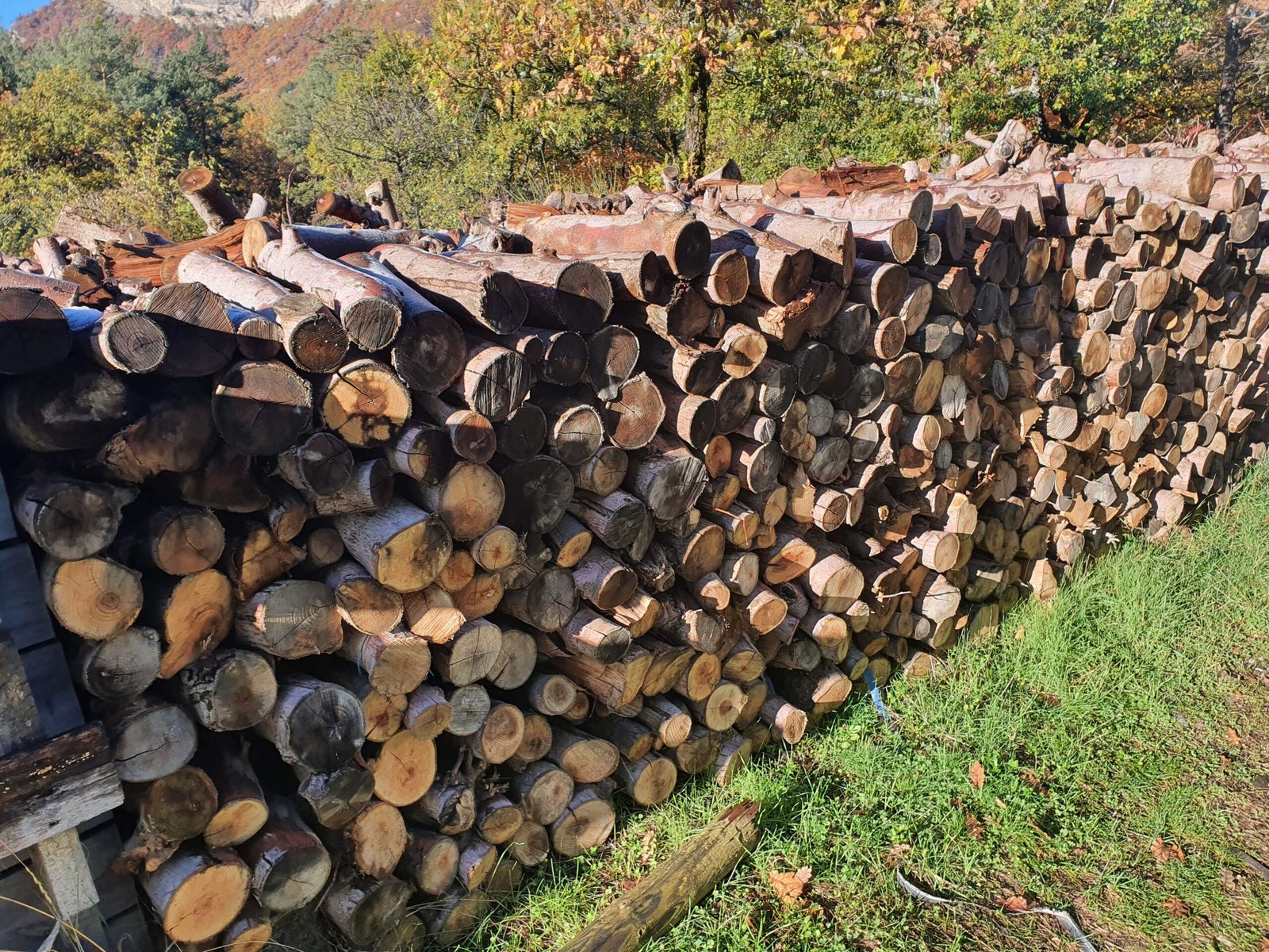 ARNS - Bois de chauffage sec et fendu (pommier) - Tallard 05