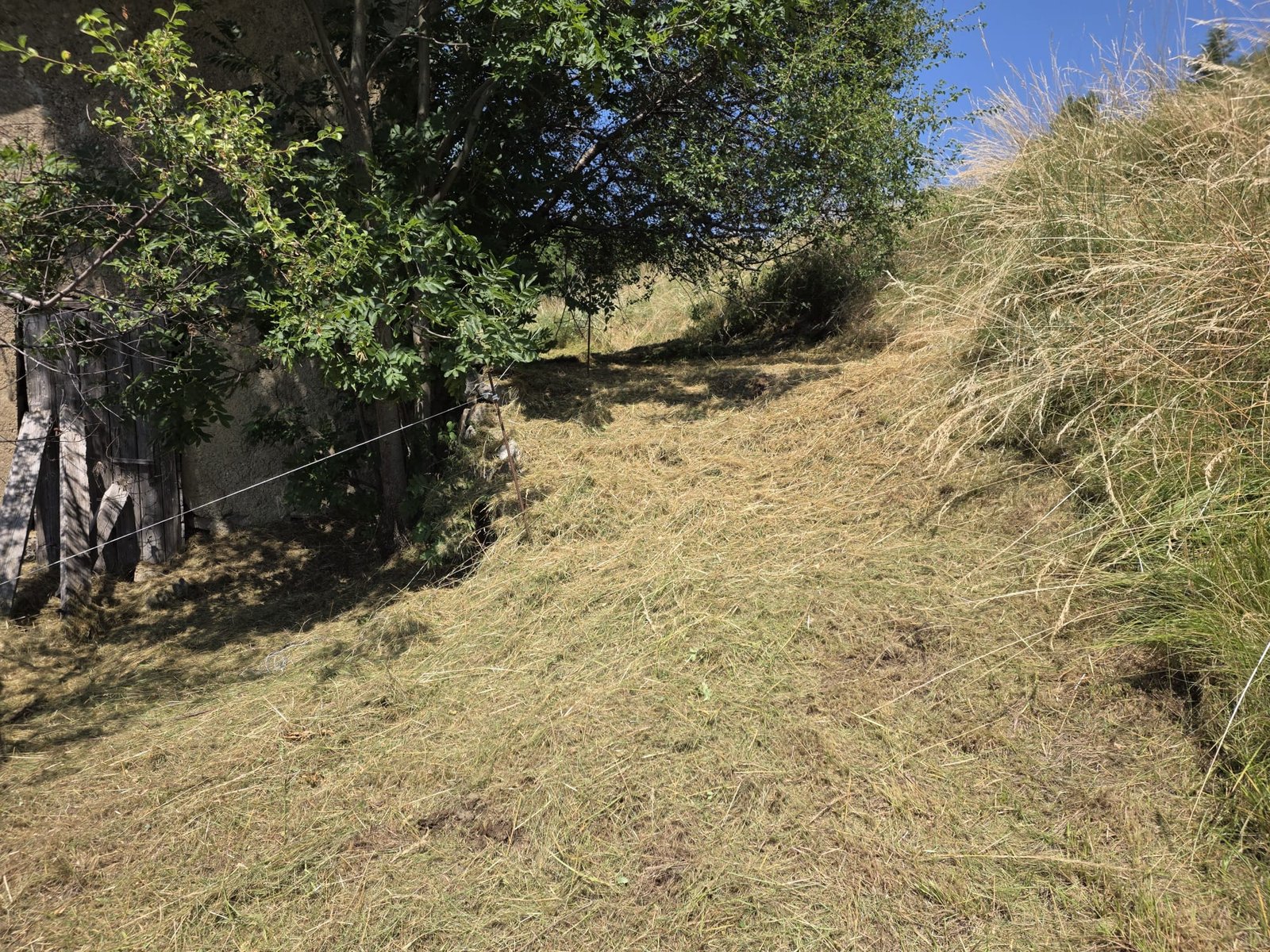 ARNS - Jardin entretenu au fil des saisons