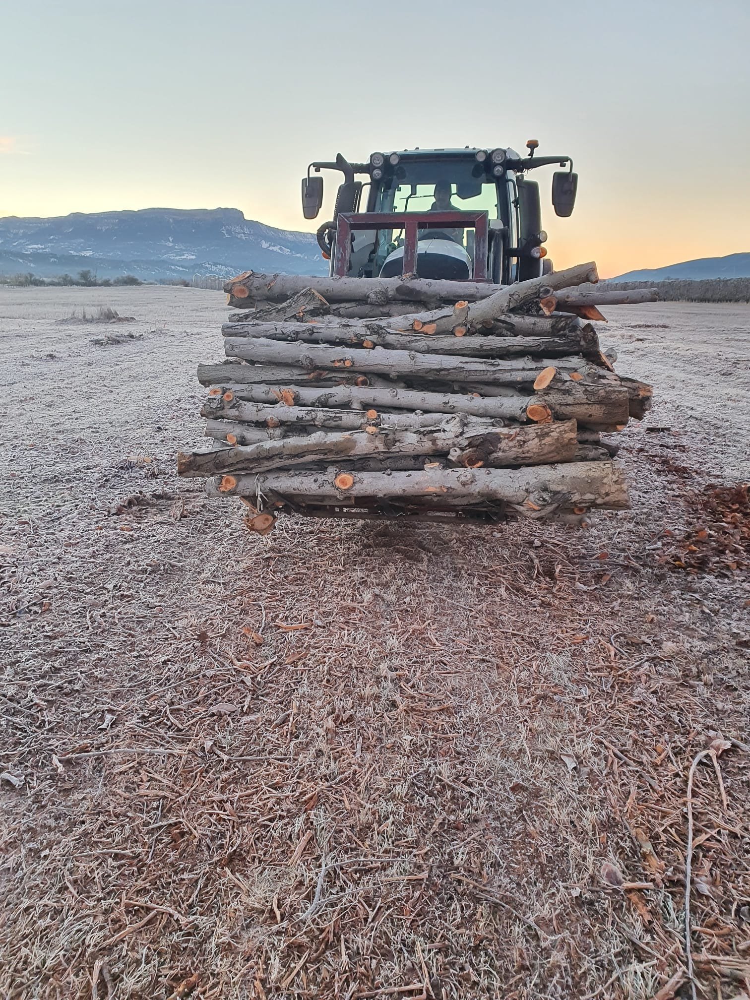 ARNS - Chargement de bois sur remorque