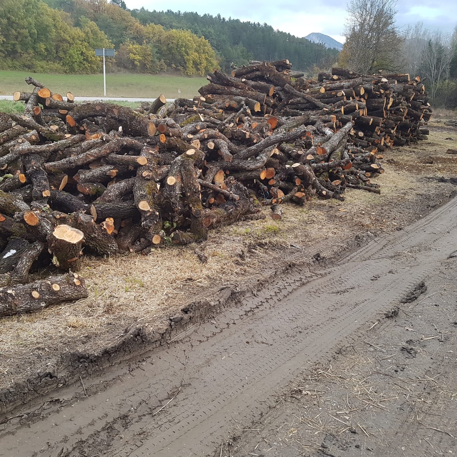 ARNS - Stock de bois fendu