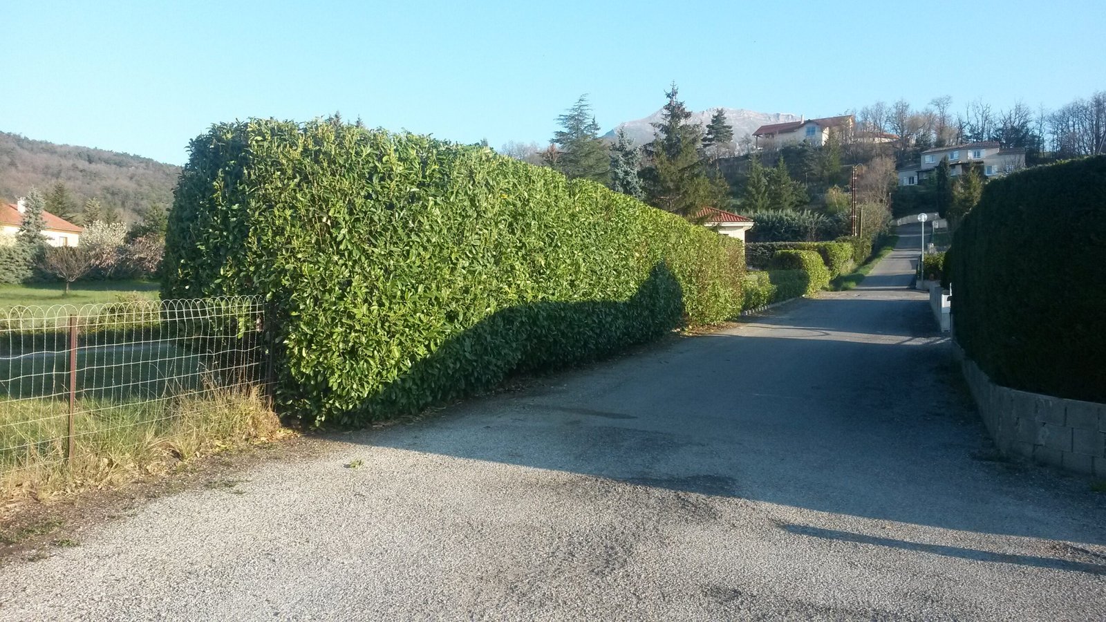 ARNS - Chantier taille de haie