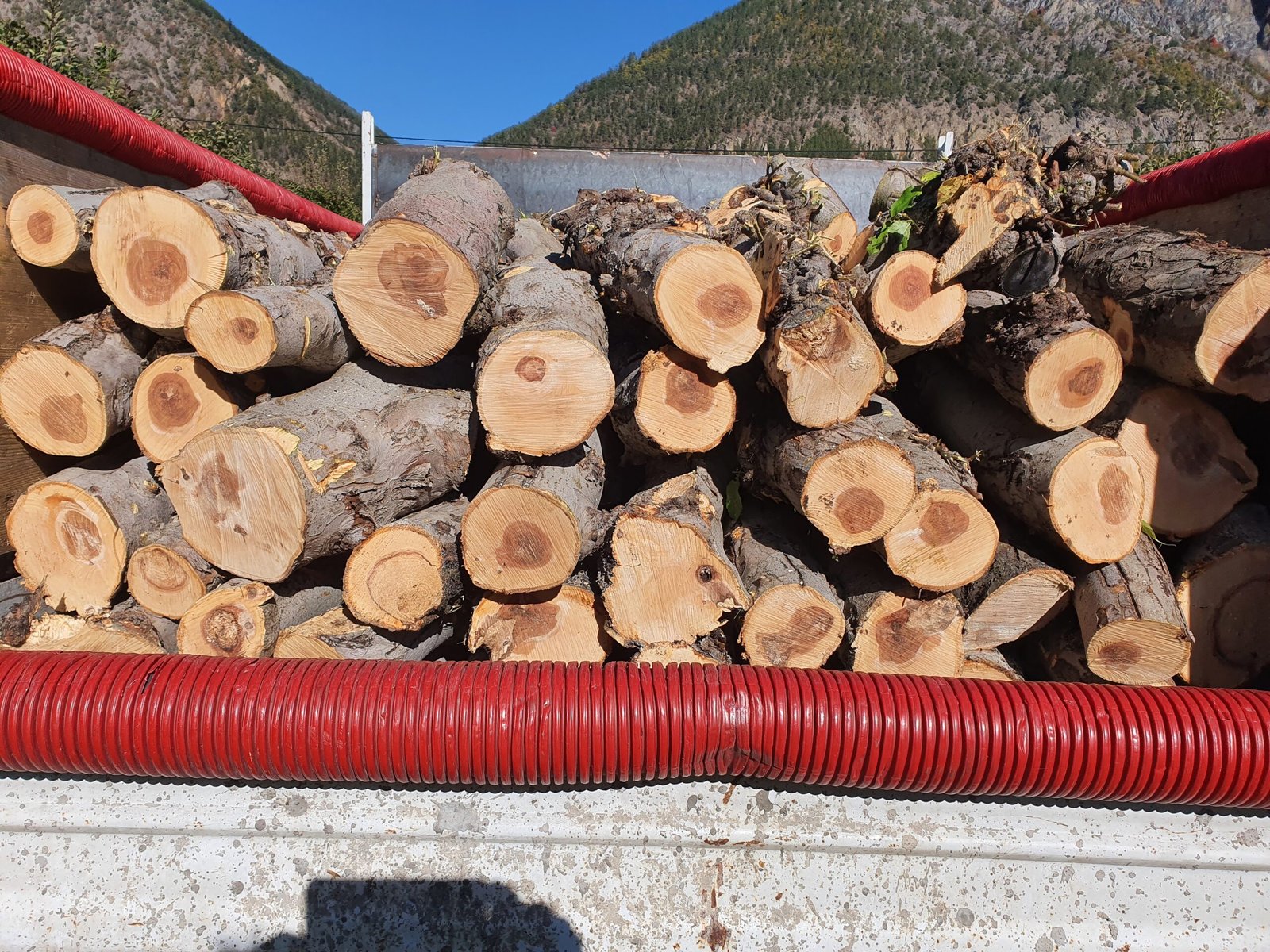 ARNS - Camion pommier gros bois