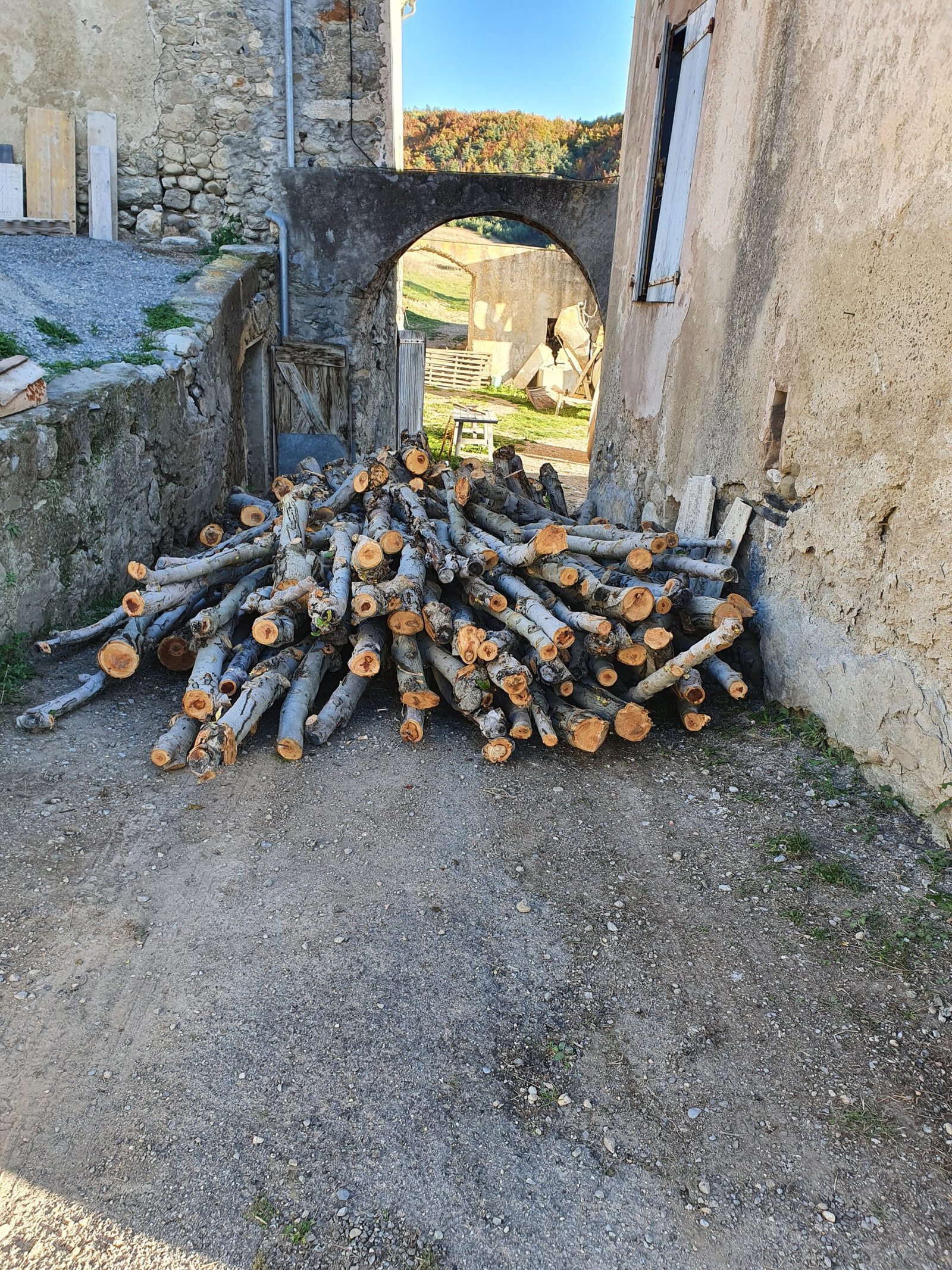 ARNS - Livraison pommier chez client