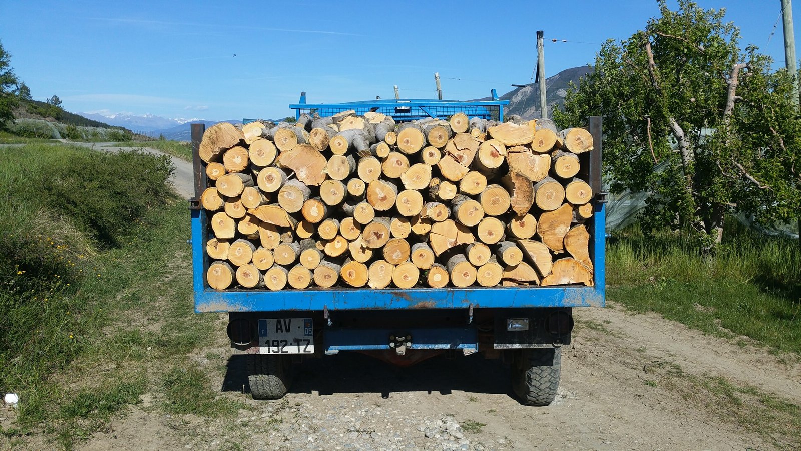 ARNS - Beau pommier sur camion